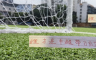 蔣圣龍VS提莫，誰(shuí)為中超最佳帶刀中衛(wèi)