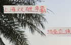 滬申花海港爭霸，雙雄對攻精彩，馬寧助陣。