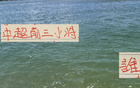 中超前三，誰主沉??？申花劉、國安范、海港蒯爭霸