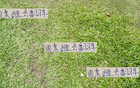 周末中超焦點(diǎn)：成都海港、山東國安，前四誰將失利？