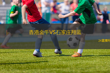 香港金牛VS石家莊翔藍(lán) 香港金牛VS石家莊翔藍(lán)
