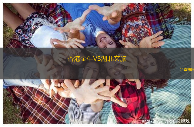 香港金牛VS湖北文旅 香港金牛VS湖北文旅