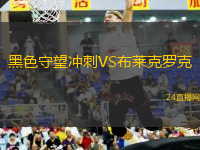 岡山綠雉VS柏太陽(yáng)神 岡山綠雉VS柏太陽(yáng)神