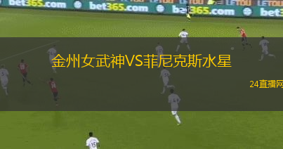 金州女武神VS菲尼克斯水星 金州女武神VS菲尼克斯水星