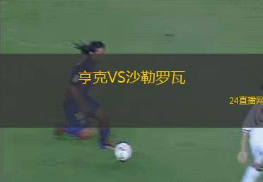 亨克VS沙勒羅瓦 亨克VS沙勒羅瓦