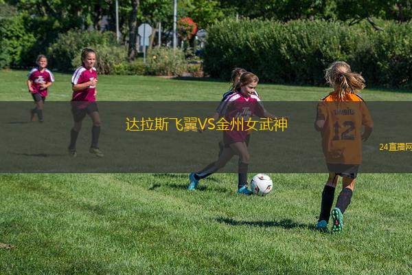 達拉斯飛翼VS金州女武神 達拉斯飛翼VS金州女武神