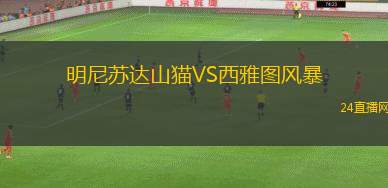 明尼蘇達(dá)山貓VS西雅圖風(fēng)暴 明尼蘇達(dá)山貓VS西雅圖風(fēng)暴