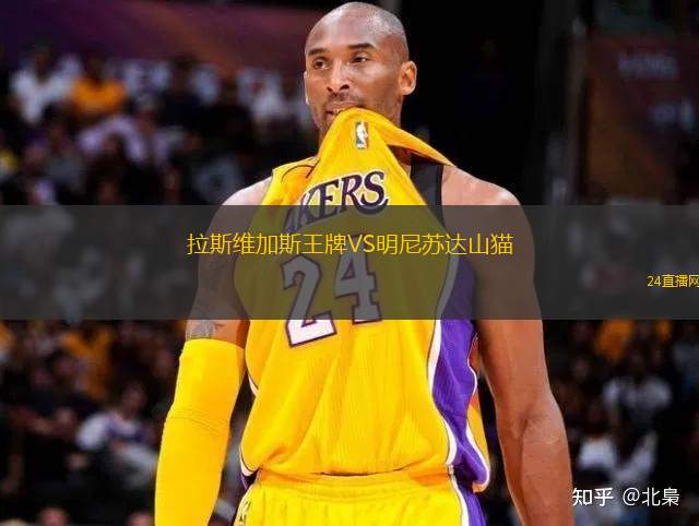 拉斯維加斯王牌VS明尼蘇達山貓 拉斯維加斯王牌VS明尼蘇達山貓
