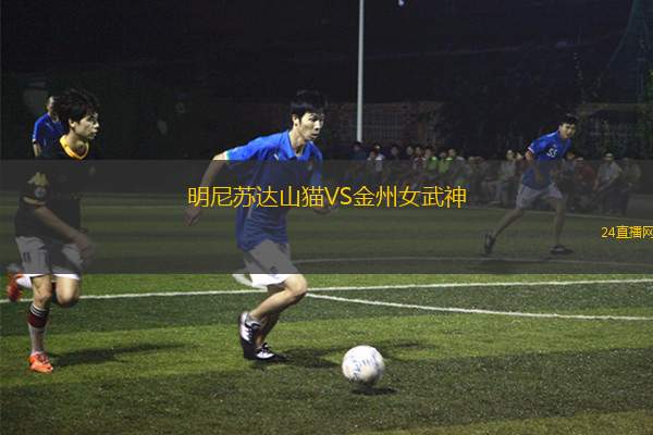 明尼蘇達山貓VS金州女武神 明尼蘇達山貓VS金州女武神
