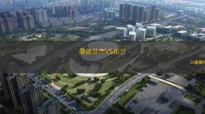 桑德菲杰VS布蘭 桑德菲杰VS布蘭