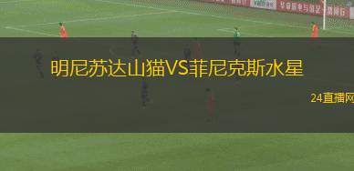 明尼蘇達山貓VS菲尼克斯水星 明尼蘇達山貓VS菲尼克斯水星