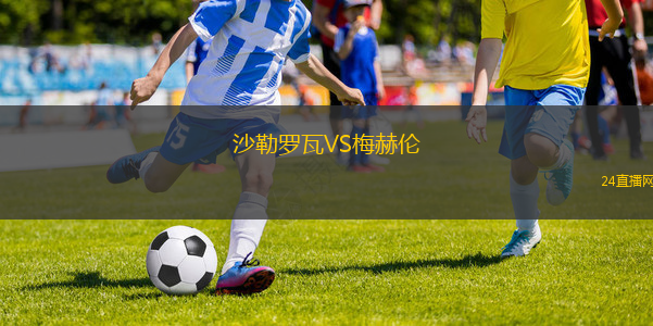 沙勒羅瓦VS梅赫倫 沙勒羅瓦VS梅赫倫